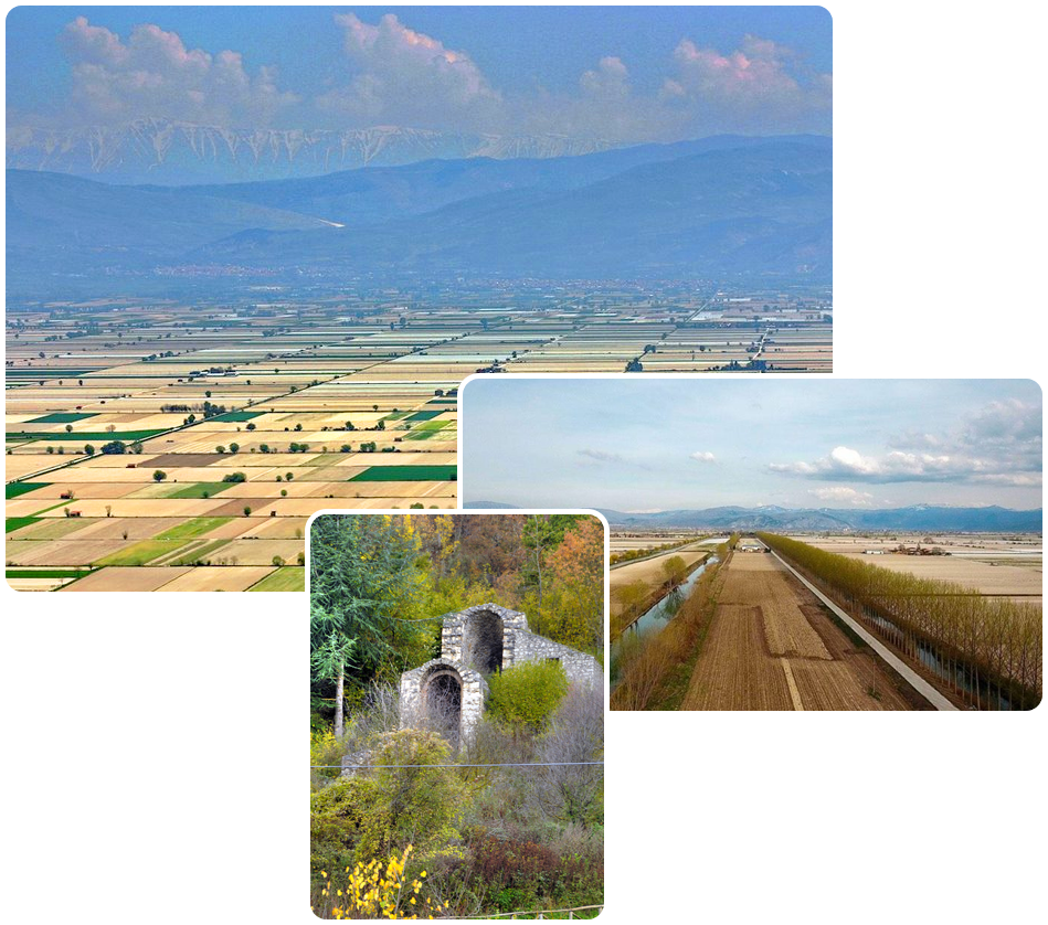 fucino
